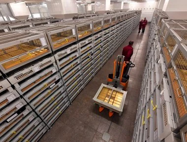 Η Ρωσία πουλά μανιωδώς δολάρια και αγοράζει χρυσό: Τι συμβαίνει; - Αγόρασε 26,1 τόνους μόνο τον Ιούλιο